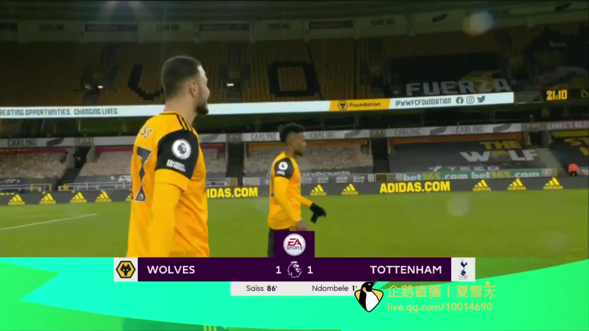 国会议员的 国会议员的