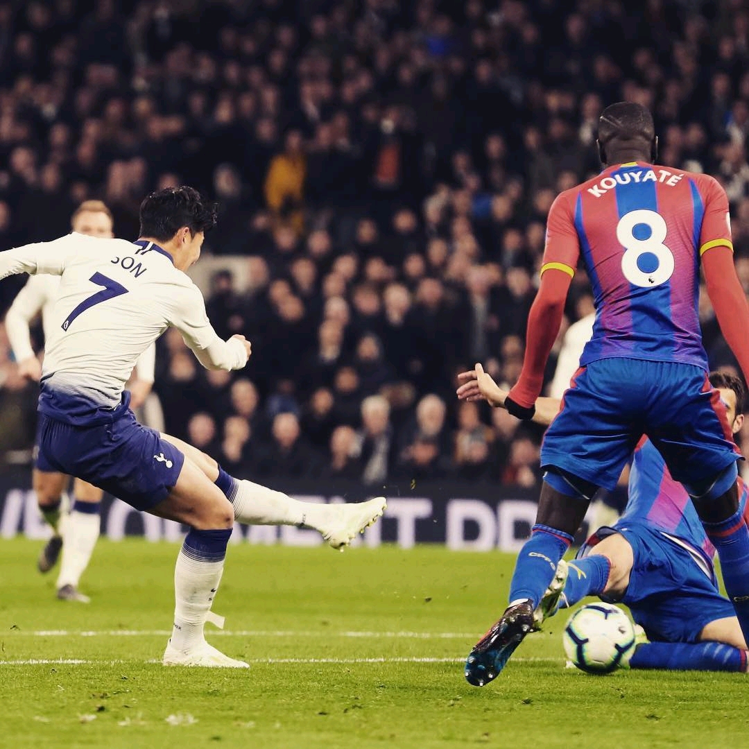 再次证明了 再次证明了